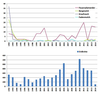 Krötenstatistik