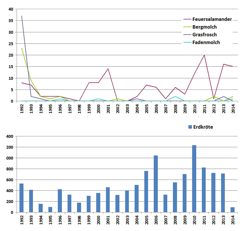 Krötenstatistik